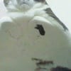 Ahmet Kaplan avatar